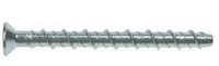 Ankerbolt Csk Head Torx Drive A4/316 Stainless Steel